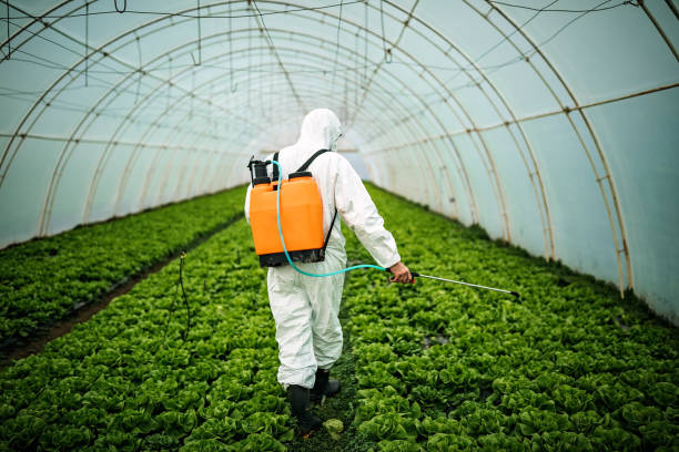 Best Emergency Pest Control  in Darrington, WA