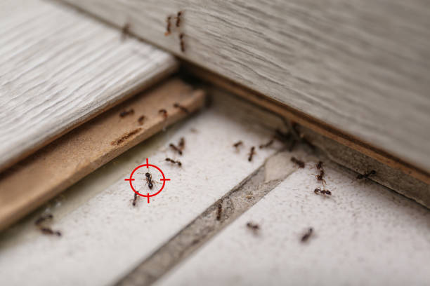 Darrington, WA Pest Control Company