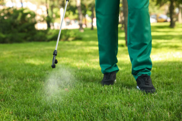 Best Rat Extermination Near Me  in Darrington, WA