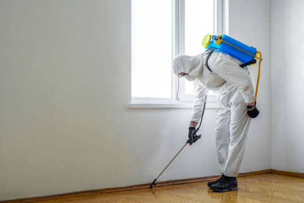Best Pest Control Near Me  in Darrington, WA