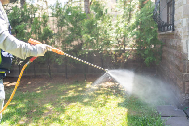 Bird Control in Darrington, WA