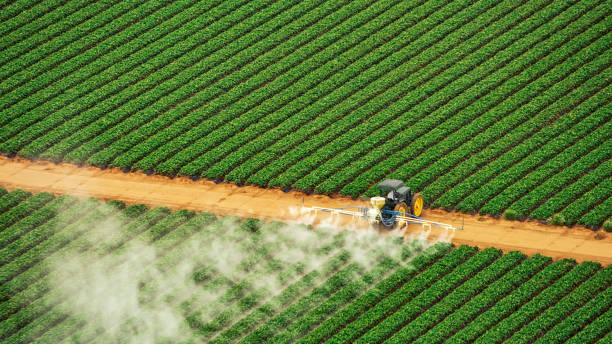 Best Commercial Pest Control Services  in Darrington, WA