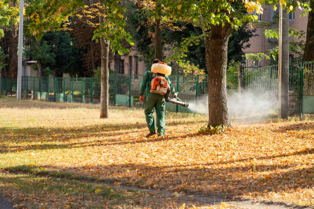 Best Termite Control Services  in Darrington, WA